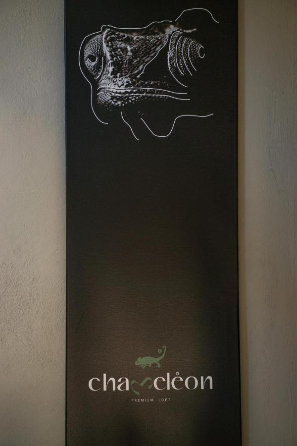 Chameleon Premium Loft Lejlighed Nafplio Eksteriør billede